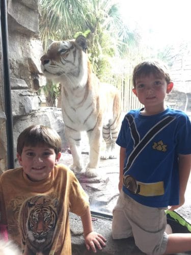 Busch Gardens Preschool Pass 2019 Free Admission