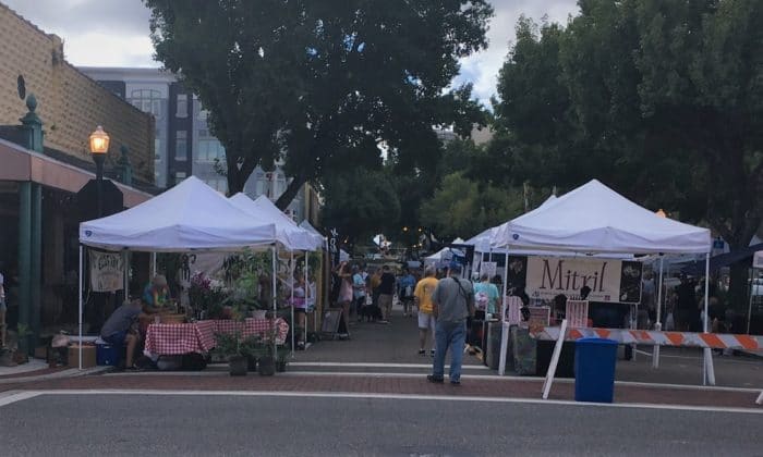 Lakeland FL Farmers Market (32)