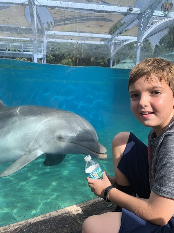 https://lakelandmom.com/wp-content/uploads/2019/10/SeaWorld-Orlando-Florida.jpeg