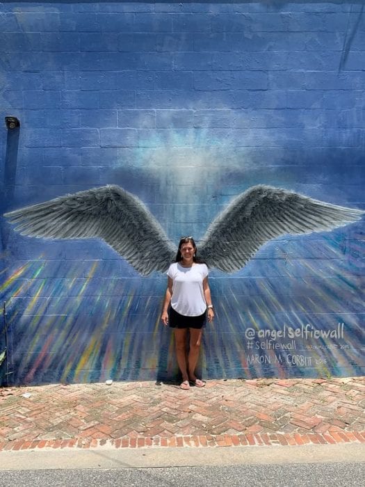 Lakeland Murals Angel Wings Wall Dixieland