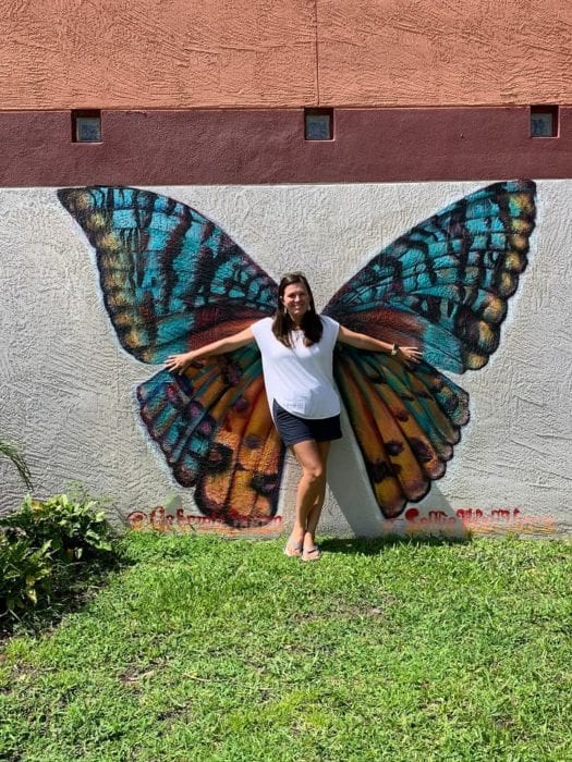 Lakeland Murals Venue Butterfly (2)