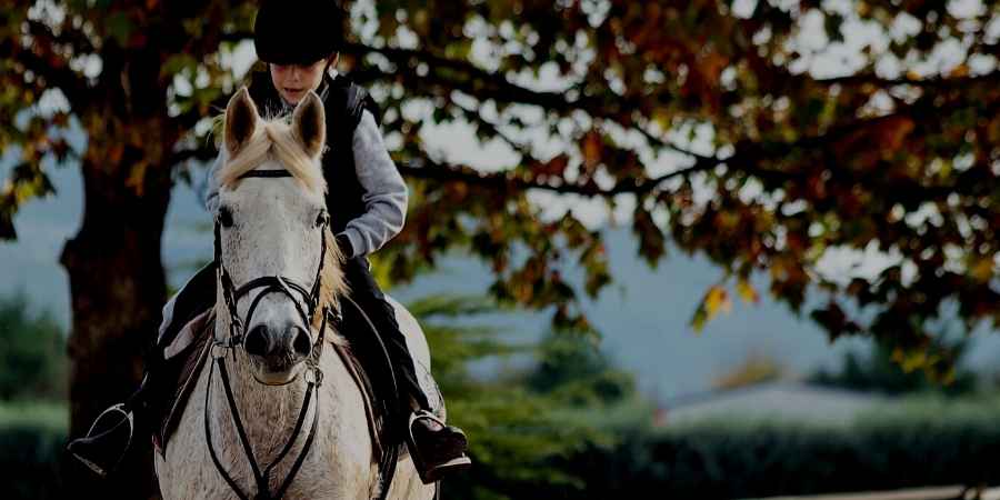 Horseback Riding