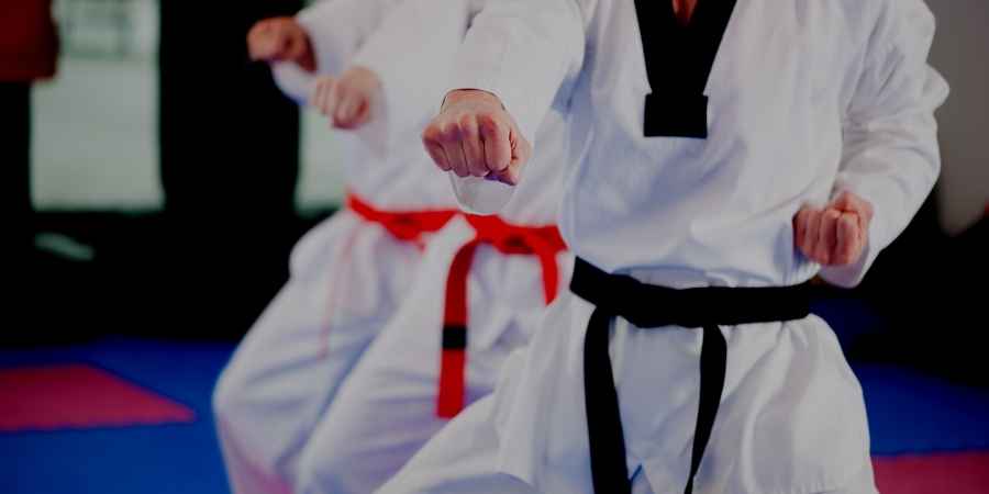 Martial Arts Summer Camps Near You: Lakeland + Polk County