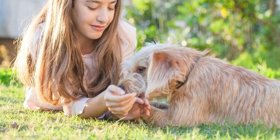 Animal Themed Summer Camps Lakeland Florida