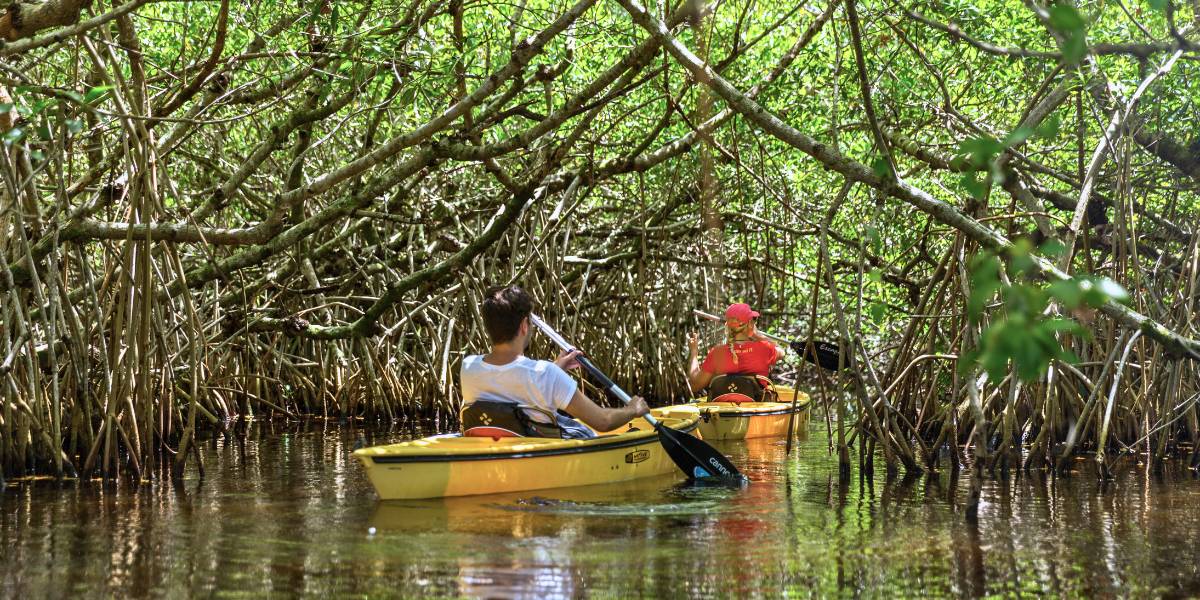 Florida Canoe Kayak Rental Near You