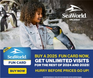 Sea World Fun Card Deal