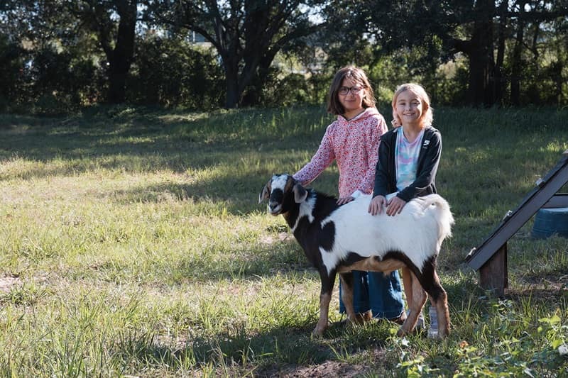 WonderHere Farm Lakeland FL