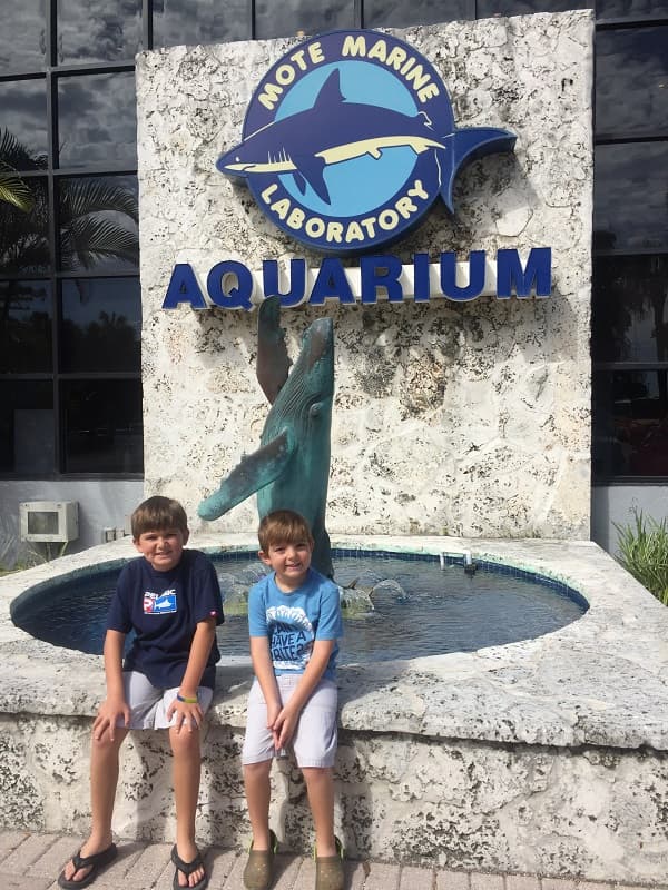 Mote Marine Central Florida Aquarium (1)