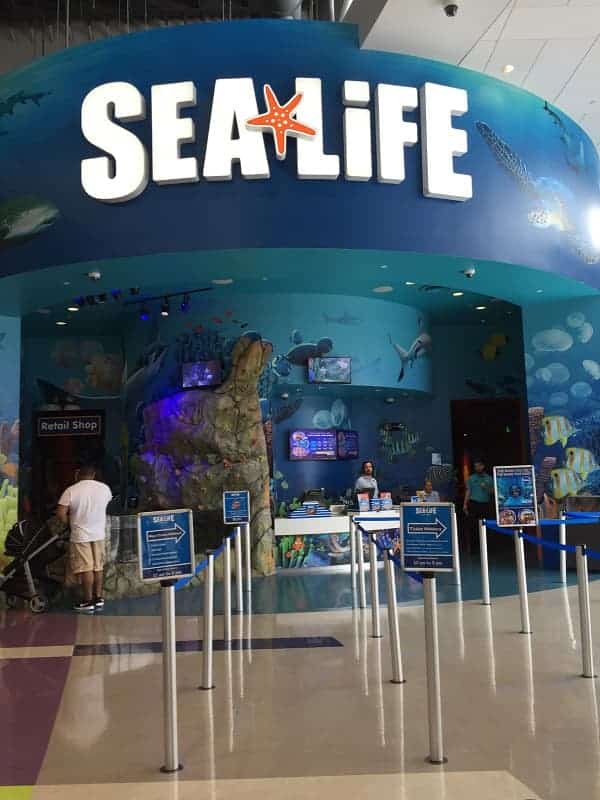 Sea Life Aquarium Orlando (1)