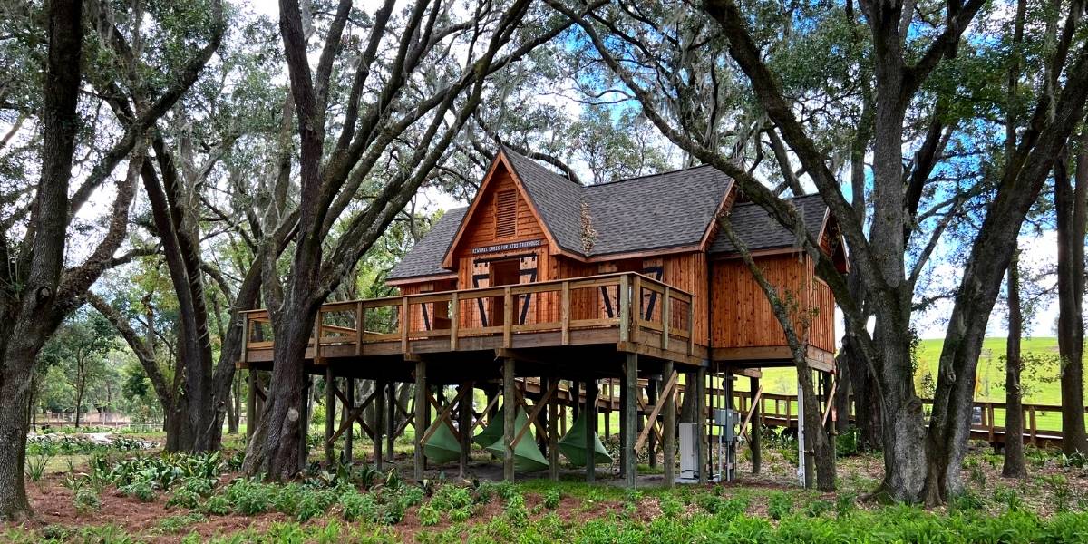 Bonnet Springs Park Treehouse
