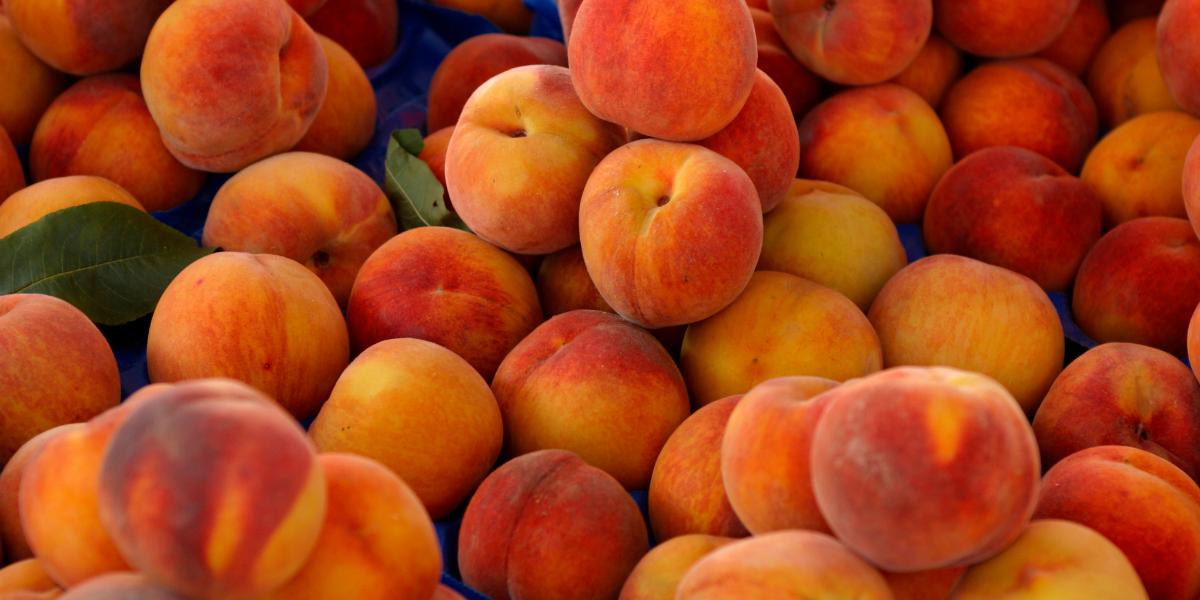 Peach Picking Near Me Central Florida 