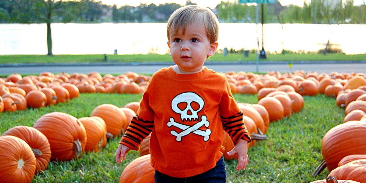 Best Places to Celebrate Fall and Halloween in Central Florida