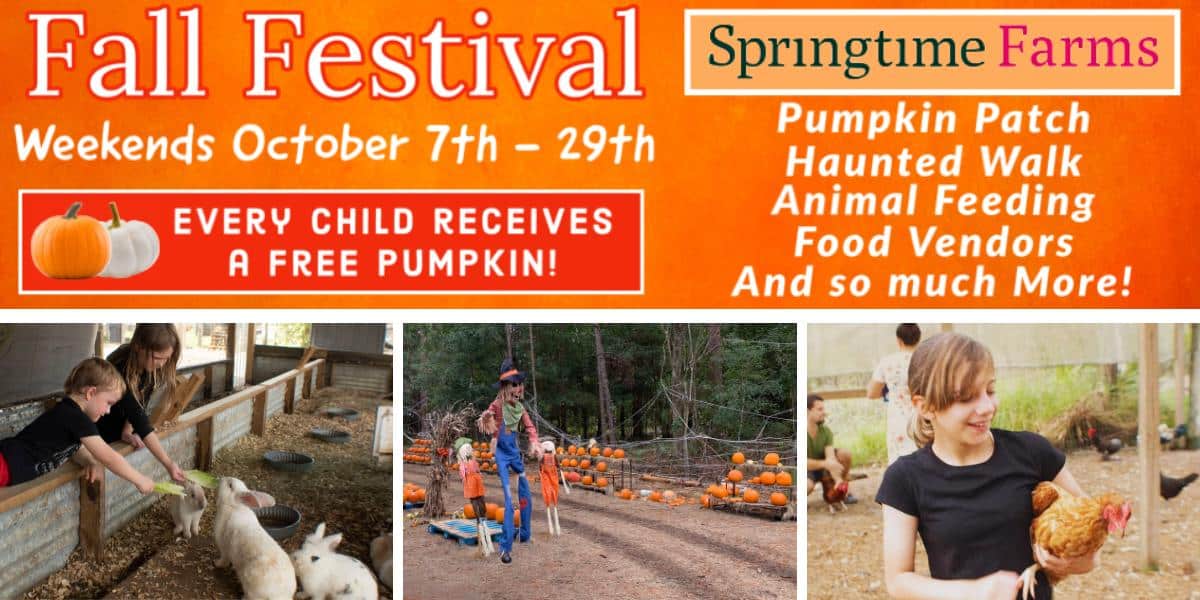 Springtime Farms Fall Festival Central Florida 2023 (2)