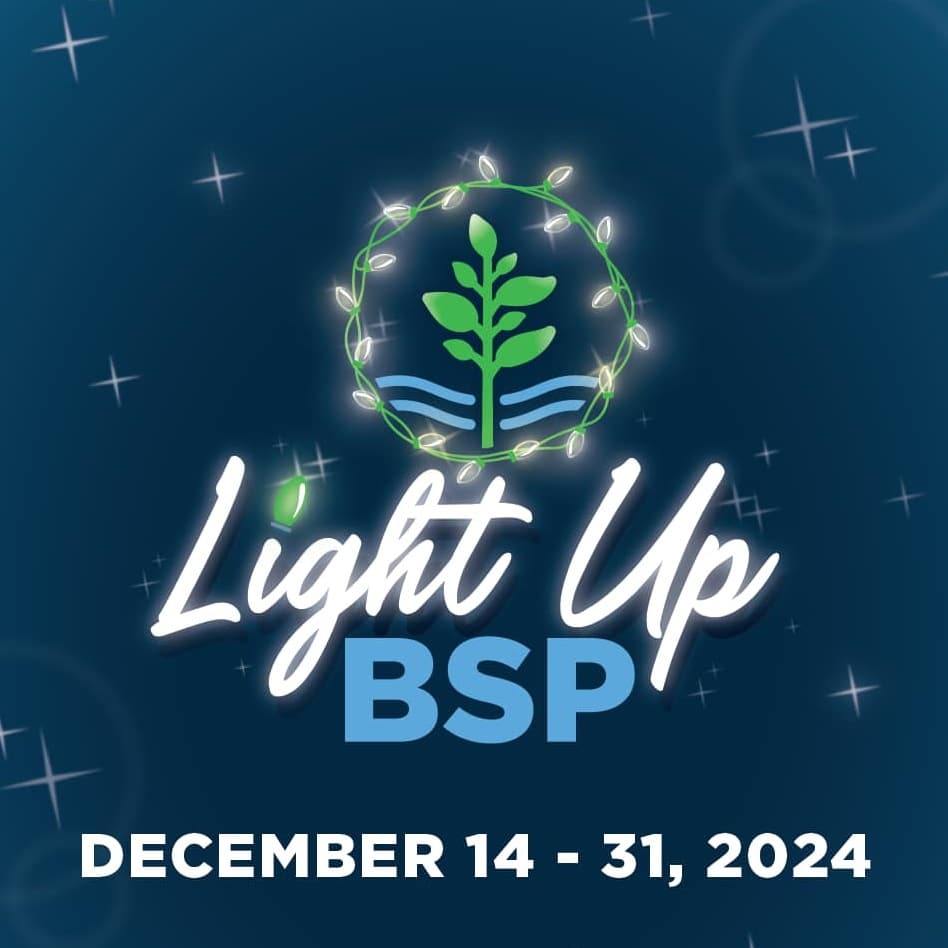 Light-Up-BSP-Bonnet-Springs-Park-Christmas-Lights-Lakeland-FL