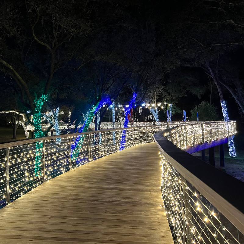 Light Up BSP Bonnet Springs Park Christmas Lights Lakeland FL (2)