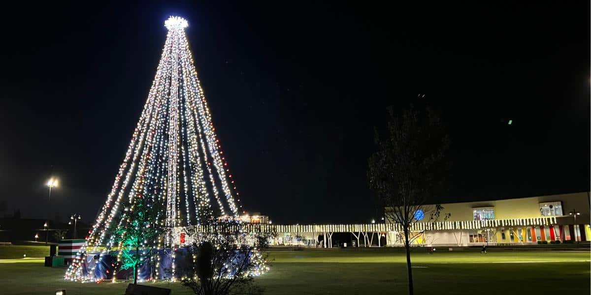 Light Up BSP Bonnet Springs Park Christmas Lights Lakeland FL (2)