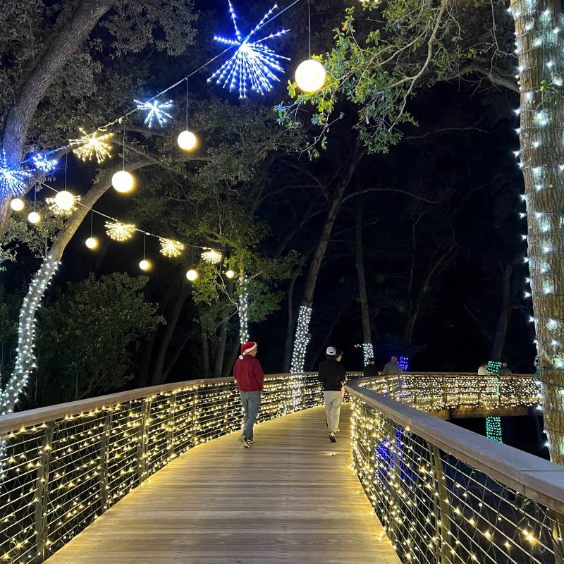 Light Up BSP Bonnet Springs Park Christmas Lights Lakeland FL Canopy Walk
