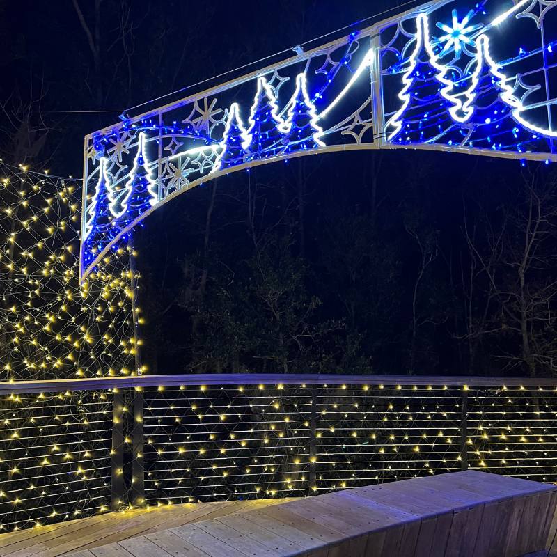 Light Up BSP Bonnet Springs Park Christmas Lights Polk County FL