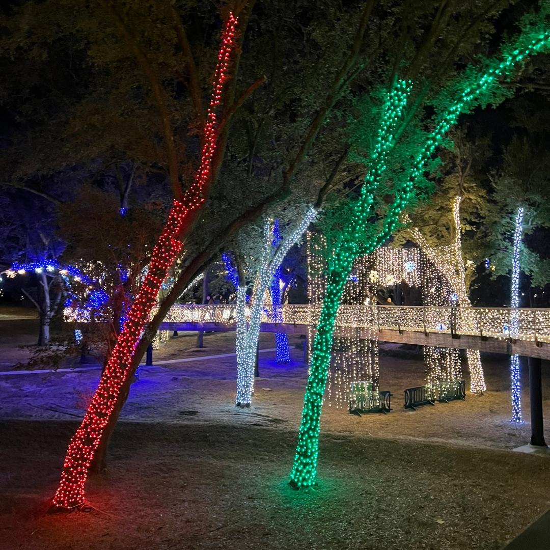 Light Up BSP Bonnet Springs Park Christmas Lights Lakeland FL 5