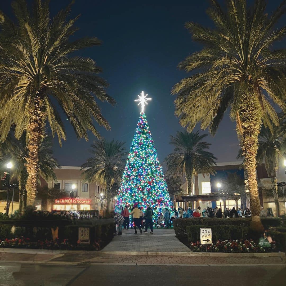 Lakeside Village Christmas Tree Lakeland FL