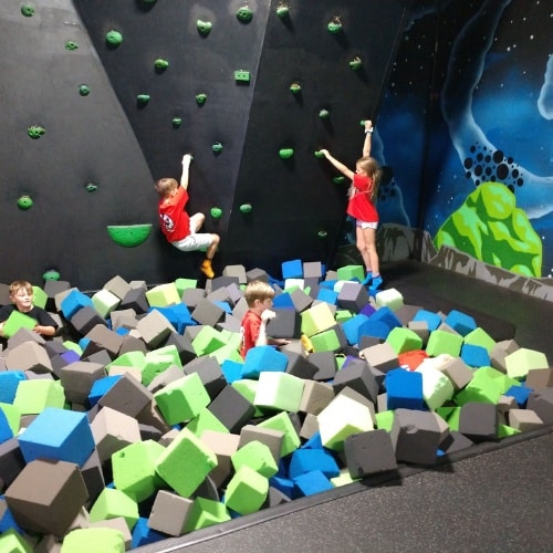 Evolution Martial Arts Summer Camp Lakeland FL
